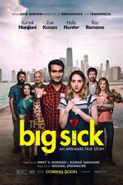 The Big Sick wiflix