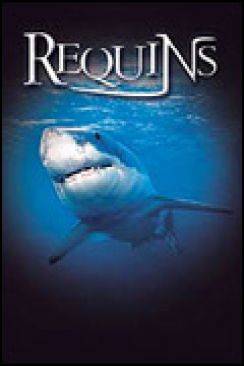 Le Monde des requins - Requins 3D (Sharks 3D) wiflix