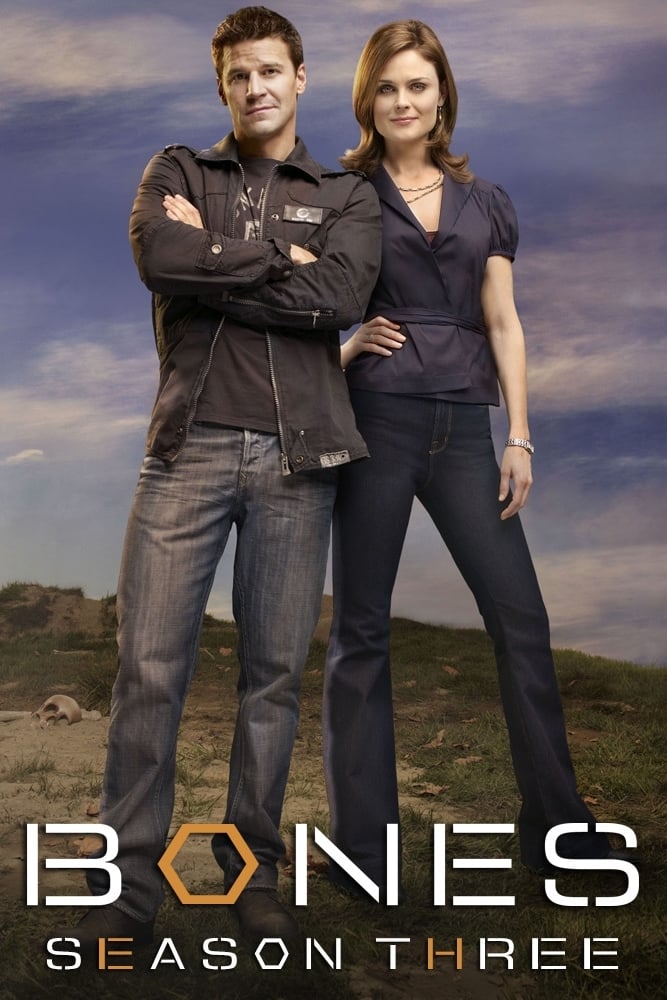 Bones - Saison 3 wiflix