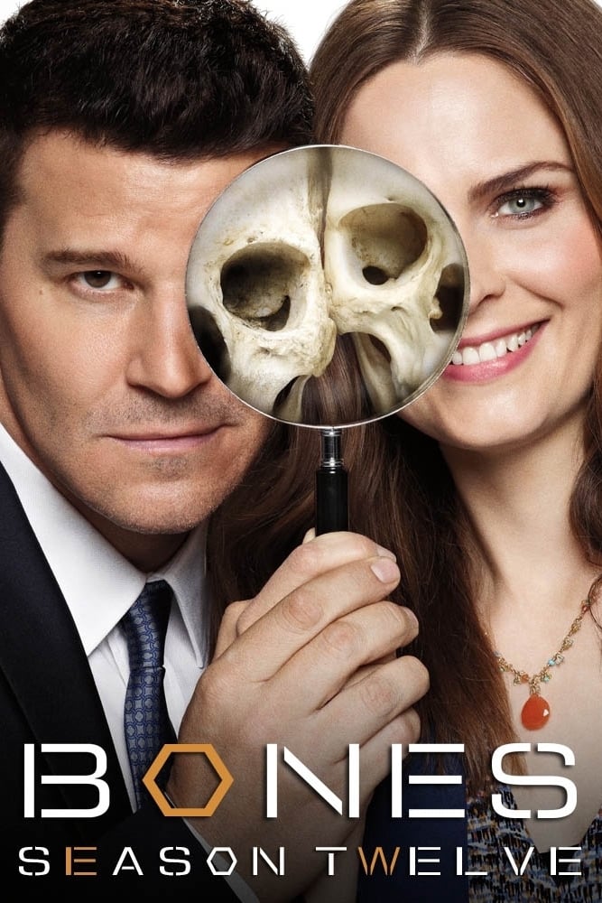 Bones - Saison 12 wiflix