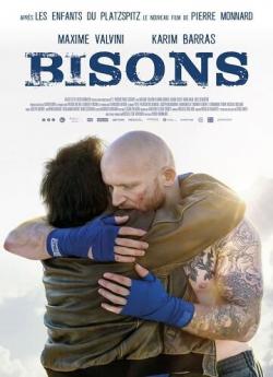 Bisons wiflix