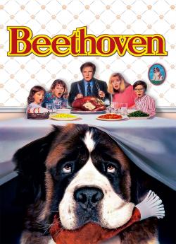 Beethoven wiflix