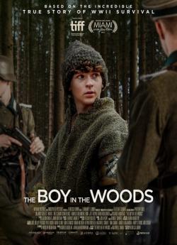 The Boy in the Woods wiflix