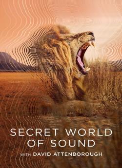 Le monde secret du son avec David Attenborough - Saison 1 wiflix