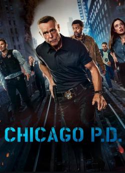 Chicago Police Department - Saison 12 wiflix