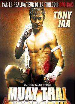 Muay Thai Assassin wiflix