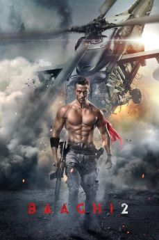 Baaghi 2 wiflix