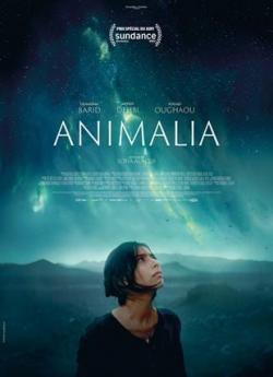 Animalia wiflix