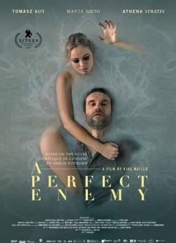 A Perfect Enemy wiflix