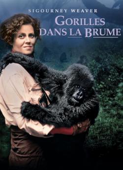 Gorilles dans la brume wiflix