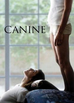 Canine wiflix